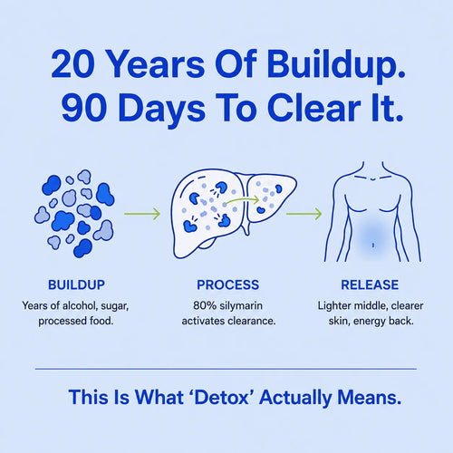 Biovega Milk Thistle Liver Detox