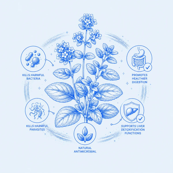 OREGANO EXTRACT