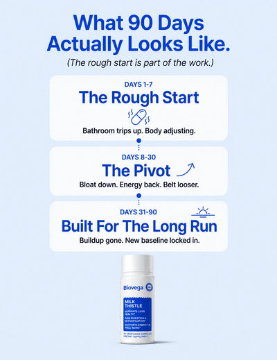 Biovega Milk Thistle Liver Detox