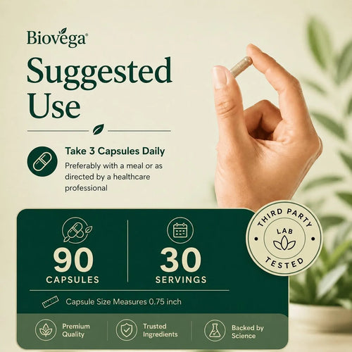 Biovega Nattokinase & Aged Garlic Complex