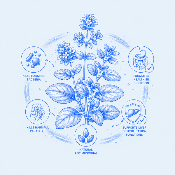 OREGANO EXTRACT
