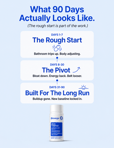 Biovega Milk Thistle Liver Detox